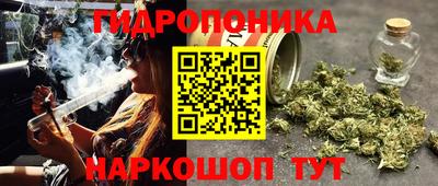 молекула духа Коммунар