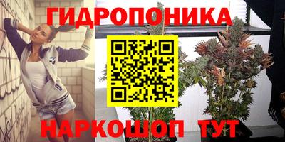 молекула духа Коммунар