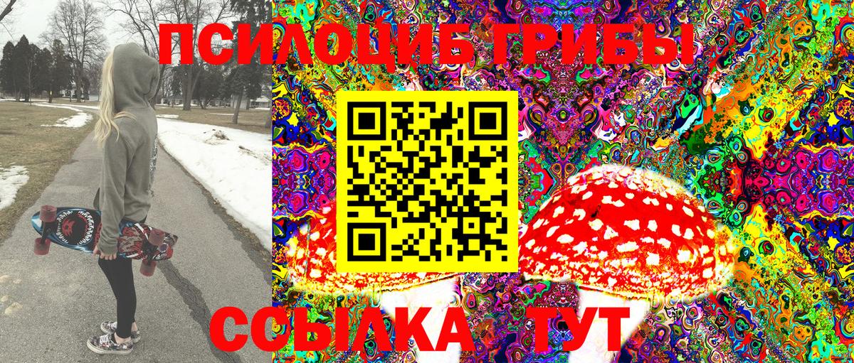 Галлюциногенные грибы Psilocybine cubensis  Галлюциногенные грибы GOLDEN TEACHER  где можно купить   Корсаков  Вход с VPN 