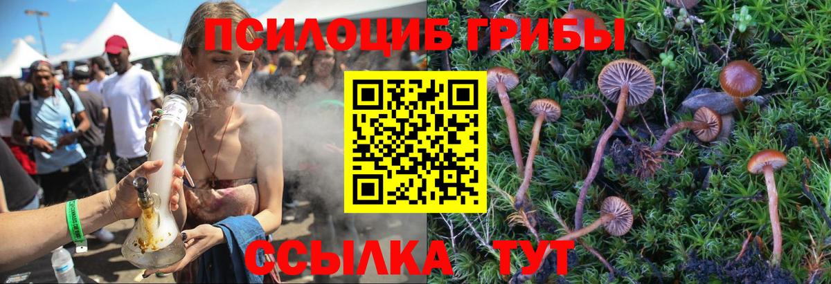 Галлюциногенные грибы Psilocybine cubensis Корсаков